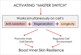 SK-II Essential Power Essence master switch